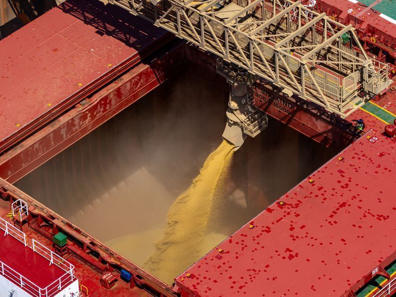 China prevê importações de soja menores em 2026 e na próxima década